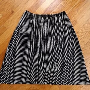 Express Skirt